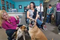 Staying ahead of the pack