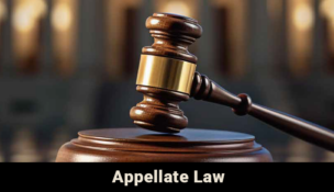 Legal Elite 2024: Appellate Law