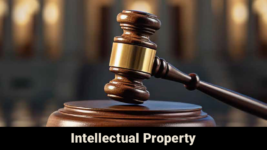 Legal Elite 2024: Labor/Employment Law