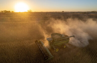 Farmers welcome China soybean deal but remain cautious