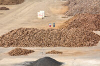 China delays rare earth export limits in trade deal