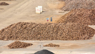 China delays rare earth export limits in trade deal