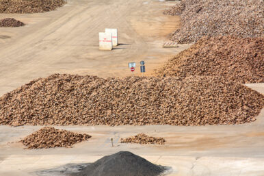 China delays rare earth export limits in trade deal