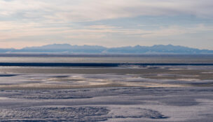 Trump administration finalizes plan to open pristine Alaska wildlife refuge to oil and gas drilling