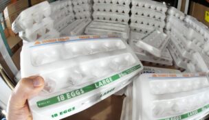 FILE - A shopper selects a carton of 18 Large Grade A eggs from a cooler in a Costco Warehouse in Cranberry, Pa., Jan. 28, 2025. (AP Photo/Gene J. Puskar, File)