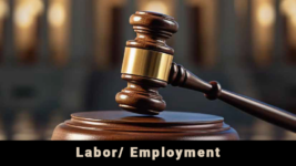 Labor/ Employment 2025
