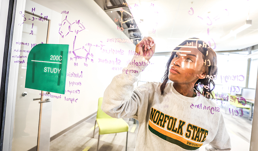 Norfolk State hits new fundraising heights