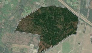 Henrico using $1M grant to prep site for development