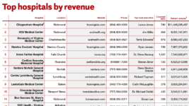 Top hospitals by revenue