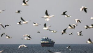 Birds fly near the boat in the Strait of Hormuz amid the U.S.-Israeli conflict with Iran, as seen from Musandam, Oman, March 2, 2026.REUTERS/Amr Alfiky