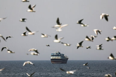 Birds fly near the boat in the Strait of Hormuz amid the U.S.-Israeli conflict with Iran, as seen from Musandam, Oman, March 2, 2026.REUTERS/Amr Alfiky