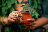 A woman carries a marijuana plant as she attends the annual NYC Cannabis Parade at the Manhattan borough in New York City, U.S., May 4, 2024. REUTERS/Eduardo Munoz