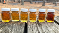 Sample bottles of Puffenbarger’s Sugar Orchard’s Pure Highland County Maple Syrup Photo courtesy Puffenbarger’s Sugar Orchard