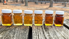 Sample bottles of Puffenbarger’s Sugar Orchard’s Pure Highland County Maple Syrup Photo courtesy Puffenbarger’s Sugar Orchard