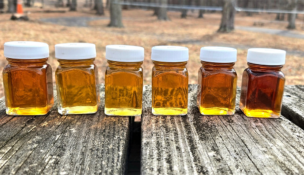 Sample bottles of Puffenbarger’s Sugar Orchard’s Pure Highland County Maple Syrup Photo courtesy Puffenbarger’s Sugar Orchard