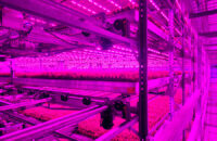 Inside an 80 Acres Farms vertical farm. Photo courtesy 80 Acres Farms