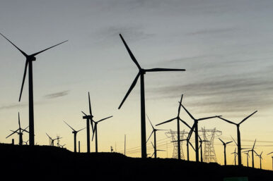 Wind turbines are shown in Palm Springs, California, U.S., October 12, 2024. REUTERS/Mike Blake