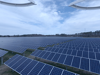 This 20-megawatt Dominion-owned solar farm in Sussex County’s Stony Creek area is one of six Virginia solar farms producing renewable energy purchased by Amazon Web Services to offset its environmental impact. Drone photography by Rick DeBerry
