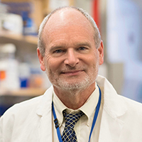 Dr. William A. Petri
