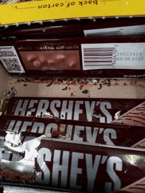 Chocolate bars behind a cash register where mice had chewed them and left droppings at a Dollar Tree at 8315 Sudley Road in Manassas, according to a Virginia safety and health inspector's report from that store in July 2022. (Source: Virginia Occupational Safety And Health Program Inspection Case File #1611019)