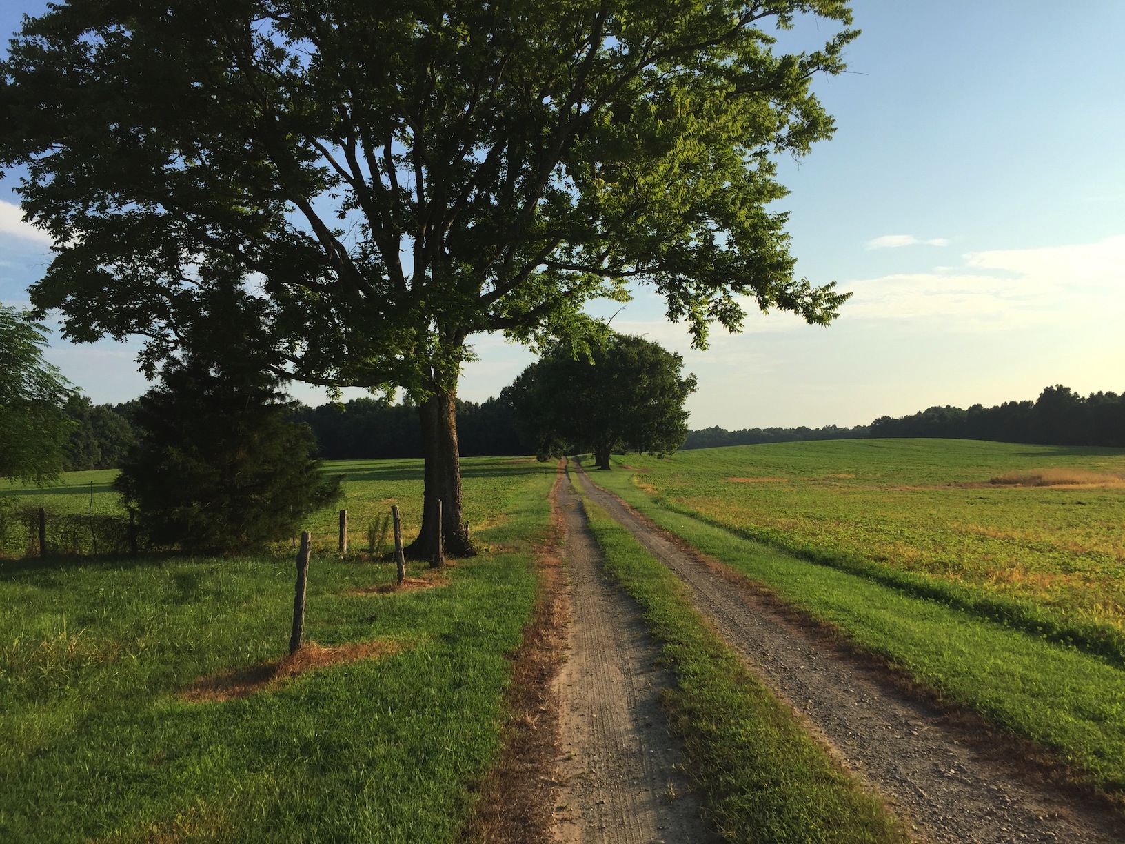 Historic Malvern Hill Farm in Henrico County is up for sale Virginia